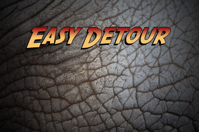 Easy Detour Travel software