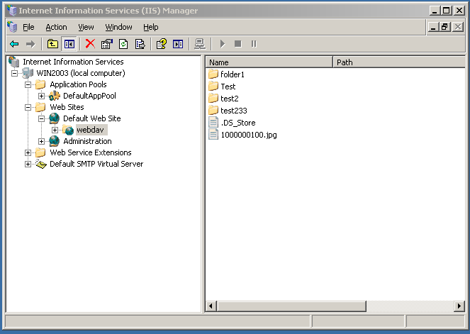 IIS 6 WebDAV virtual folder